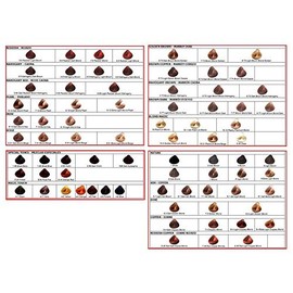 Salermvison Permanent Hair Color 6,34 Dark Blond Copper Gold