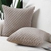 Madizz Pack of 2 Soft Corduroy Decorative Throw Pillow Covers
