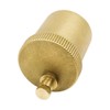 WANGCL Automatic 502130 Quick Exhaust Valve 3/8" Self-Sealing