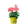 elho Basics Potholder Allin1 Metal Flower Pot, Lime Green, 27