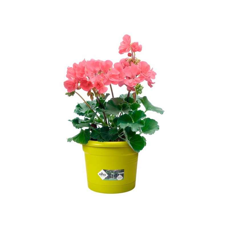 elho Basics Potholder Allin1 Metal Flower Pot, Lime Green, 27