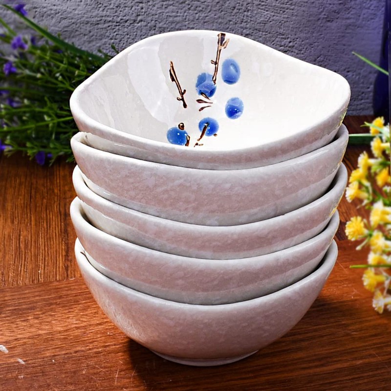 Whitenesser Dipping Sauce Bowls Set of 5, Asian Small Sauce