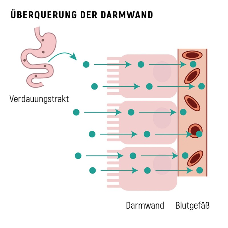 Adelle Davis® Liposomal Curcumin High Dose 300 mg Liquid (1