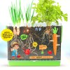 Dan&Darci Root Viewer Kit for Kids - Grow Your Own