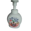 AiKkeuthae Hand Wash Container (Lemon Scent) 250ML 2ea