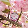 C.O. Bigelow Sakura Rose Salve Tins, Pack of 3 Lip