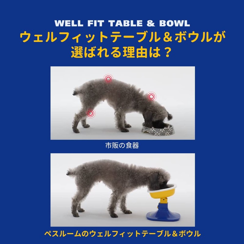 Pethroom Pet Tableware Wellfit Table & Bowl for Cats, Dogs,
