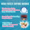 Brain Freeze Rainbow Crunch Freeze-Dried Candy – Irresistible Sweet &