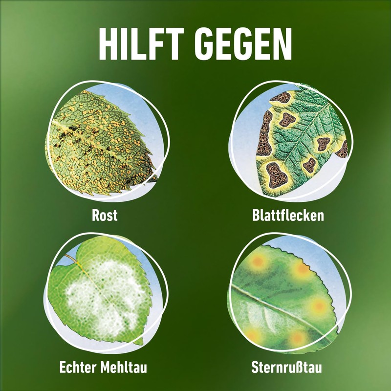 Compo Duaxo® universal fungus-free plant protector