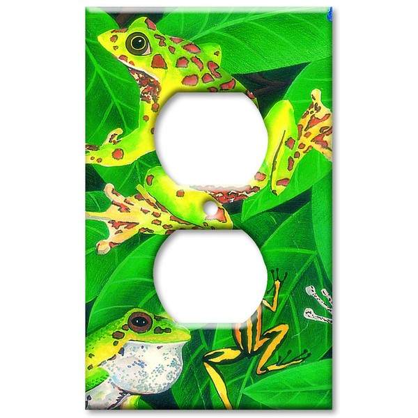 Art Plates - Outlet Cover OVERSIZE Switch Plate/OVER SIZE Wall