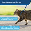PetSafe Come With Me Kitty Harness and Bungee Leash, Harness