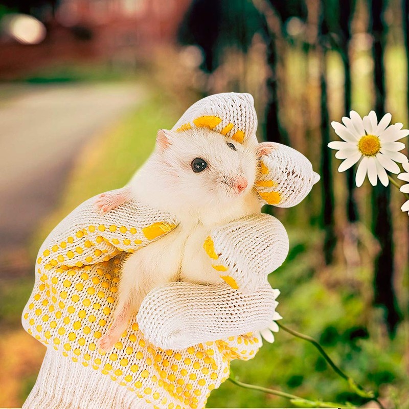 1 Pair Protective Gloves Prevent Bite Small Pets Hamster Hedgehog