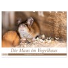 Die Maus im Vogelhaus (Wandkalender 2026 DIN A2 quer), CALVENDO