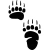 GRIZZLY  bear track / footprint sticker /  paw  decal