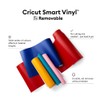 Cricut 2008648 Smart Vinyl Removable, 1 Sheet, 33 cm x