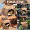 Hamiledyi Lizard Coco Den Reptile Hideouts Gecko Coconut Shell Hut