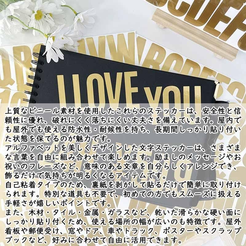 オーディオファン 数字 シール 大きい アルファベット ステッカー 番号 文字 英語 ビニール