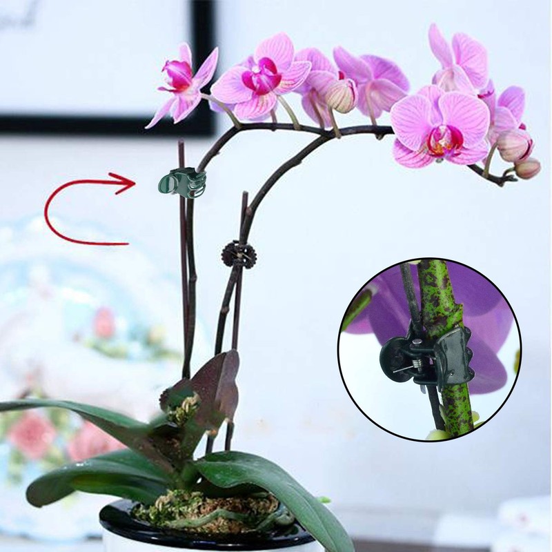 100 Pcs Plastic Plant Support Clips Trellis Clips Garden Clips