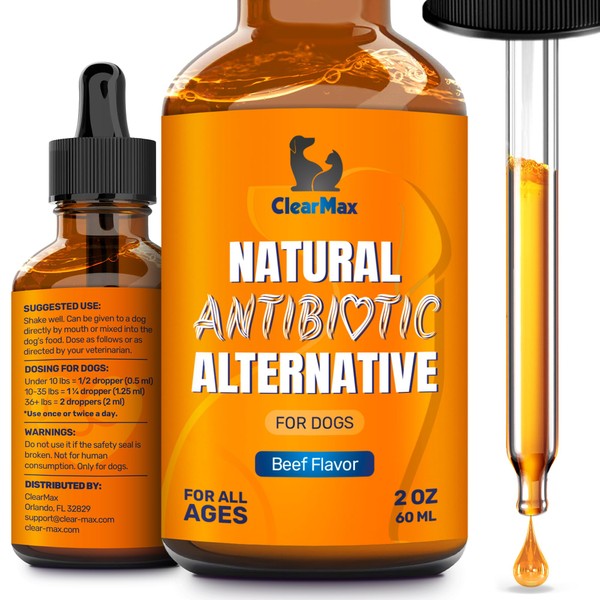 Natural Antibiotics for Dogs for Allergies, Infections, Coughs, Digestive Moments