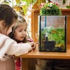 Bomba de Agua Sumergible 110V 2.5W, Motor para Acuario