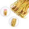 Tinsel Curtains, Gold Glitter, Metallic Glitter Curtain, Fringe Glitter Tinsel