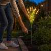 7-Head Solar Wheat Ear Garden Light, Warm White LED Outdoor