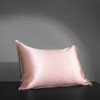 PROMEED Real Silk Pillowcases King Size 22 Momme with Envelope
