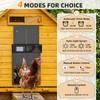 Automatic Chicken Coop Door Solar Powered, LCD Screen Electric Chicken