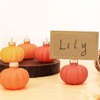 30-Pack Gradient Orange Glass Pumpkin Place Card Holders, Includes Fall