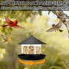 QZLOHOM Wild Bird Feeder, Large Capacity Hanging Bird Feeder with
