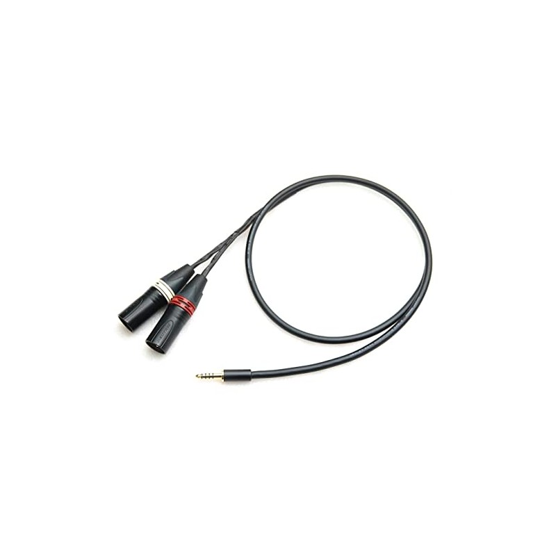 MOGAMI Mogami 2534 Y Cable (4.4mm 5 Pole Male to