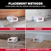 Catchmaster Indoor Spider & Insect Glue Traps - 30 Pack