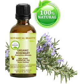 Organic ROSEMARY Essential Oil. 100% Pure Therapeutic Grade, Premium Quality, Undiluted, Steam Distilled. 0.17 Fl.oz.- 5 ml. by Botanical Beauty.