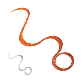 Shimano ED-R03U Sea Bream Lava Flame Moon Kyourin Tie (Pack of 5), Inshore Sea Twin Kyourin Orange 003 Offshore Tairaba Madai Saltwater