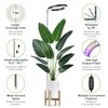 LORDEM LORDEM Grow Light for Indoor Plants, 7.9" Full Spectrum
