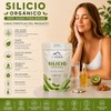 Silicio Orgánico Wildmountain 200 100 Algas Fosilizadas Fuente Vegetal Producto