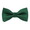 Alizeal Banded Adjustable Length Pre-tied Boy's Bow Tie, Dark Green