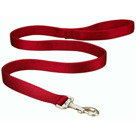 Hamilton Double Thick Nylon Dog Training Lead, 1-Inch by 6-Feet, Red