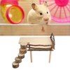 Hamster Climbing Platform Multipurpose Natural 2 Layer Wooden Hamster Playing
