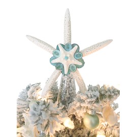 Starfish Christmas Tree Topper with Blue Green Limpet Shells - real starfish and shells