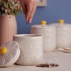 Price & Kensington Ceramic Tea, Coffee and Sugar Canisters Set,