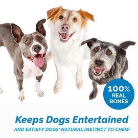 123 Treats Beef Knee Caps for Dogs – 100% Natural Knee Bone Treats, Digestible Protein, Single Ingredient Dog Chews for Aggressive Chewers, Natural Grass Fed Savory Beef Treat | 3 Count