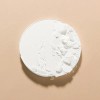 DAISO Shingmulwon Flora No Sebum Powder Pact 4g