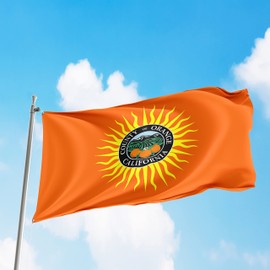 Orange County, California Flag Banner Vivid Color Double Stitched Brass Grommets California Flag - 100% Nylon - Suitable for House Decor, Pole Party Garden Flags, Room and Basement - 3x5 Feet