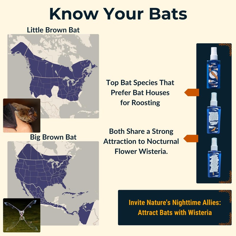 4oz All-Natural Bat Attractant Spray - Proven USA-Made Formula for