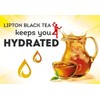 Lipton Iced Tea, GALLON Size Tea Bags (24 ct.) Family