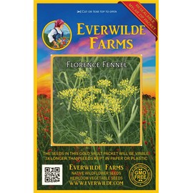 Everwilde Farms - 500 Florence Fennel Herb Seeds - Gold Vault Jumbo Seed Packet