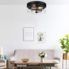 Flush Mount Ceiling Light Fixtures, 2-Light Black and Silver Ceiling