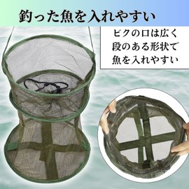 Life2 Chrysanthemum, Skari, Bik, Fishing, Fishing, Fishing, Fishing Tackle Fishing, Fishing Net, Fishing Net, Fish Caddy, Folding Net, Backman