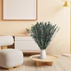 24 PCS Real Dried Eucalyptus Stems for Shower Hanging-17'' Large
